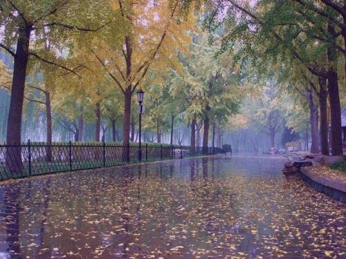 “春风桃李花开日，秋雨梧桐叶落时”这句诗是什么意思呢