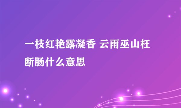 一枝红艳露凝香 云雨巫山枉断肠什么意思
