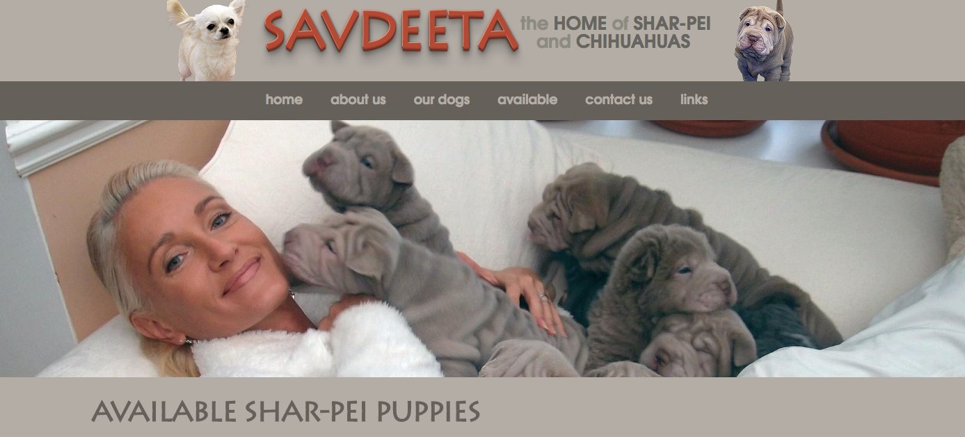 求大神指点，这是什么品种?