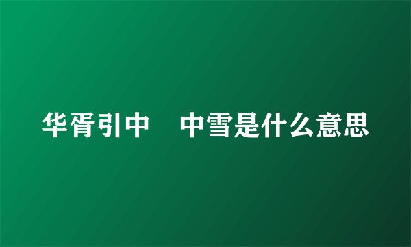 华胥引中柸中雪是什么意思