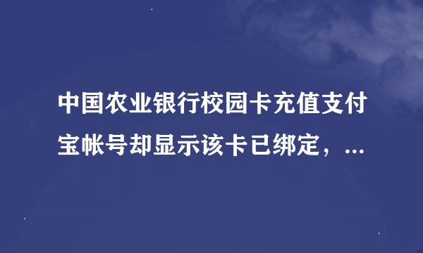 中国农业银行校园卡充值支付宝帐号却显示该卡已绑定，无法支付，啥意思，明明已经绑定的，上午还好好的，
