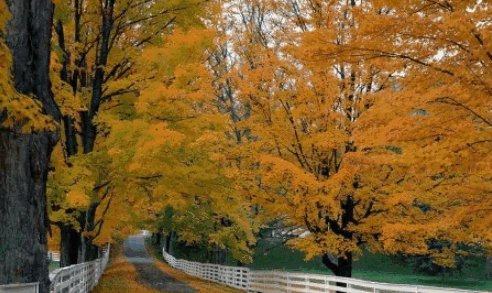 一年分为哪4个季节？