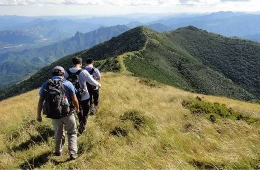 一女游客在河南新乡失足坠崖，意外是如何发生的？