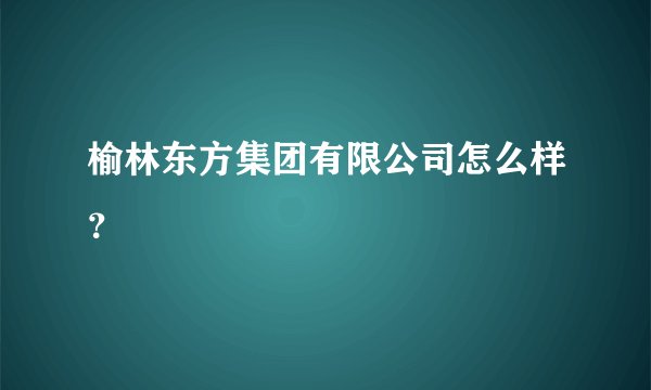 榆林东方集团有限公司怎么样？