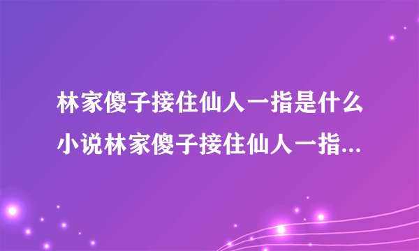 林家傻子接住仙人一指是什么小说林家傻子接住仙人一指小说简介