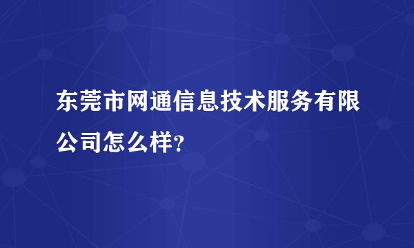 东莞市网通信息技术服务有限公司怎么样？