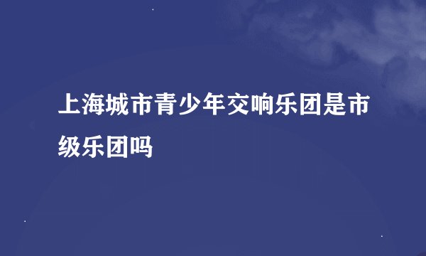 上海城市青少年交响乐团是市级乐团吗