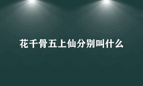 花千骨五上仙分别叫什么