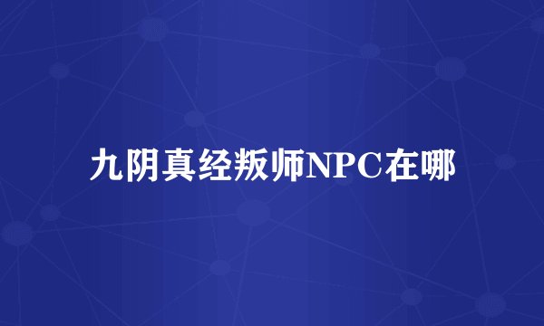 九阴真经叛师NPC在哪