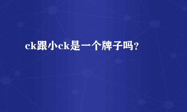 ck跟小ck是一个牌子吗？