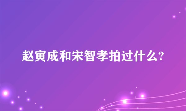 赵寅成和宋智孝拍过什么?