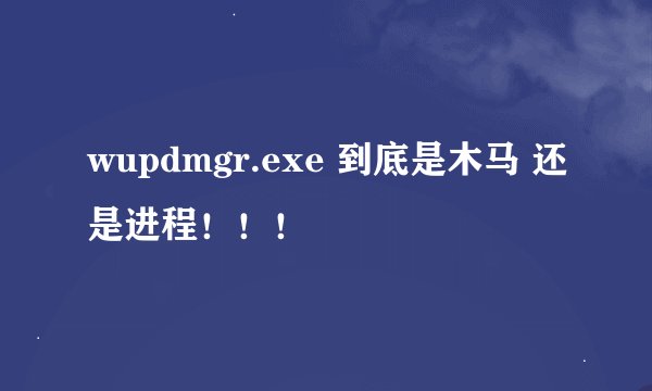 wupdmgr.exe 到底是木马 还是进程！！！