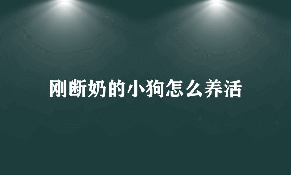 刚断奶的小狗怎么养活