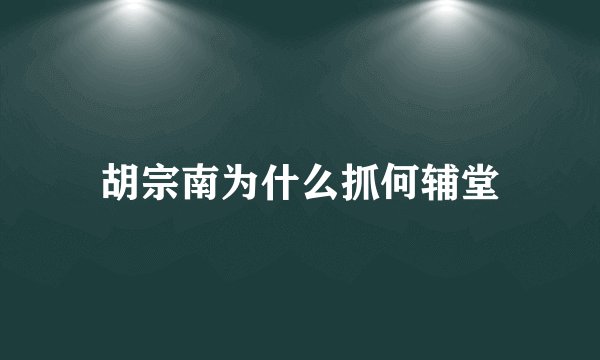 胡宗南为什么抓何辅堂