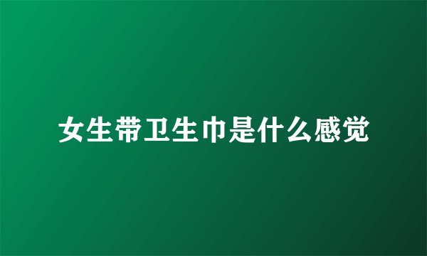 女生带卫生巾是什么感觉
