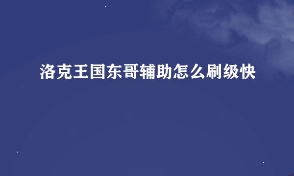洛克王国东哥辅助怎么刷级快