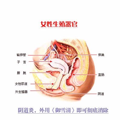 外阴痒怎么办该用什么药