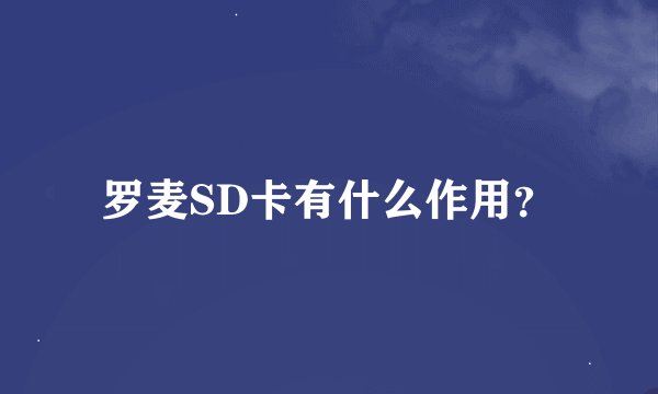 罗麦SD卡有什么作用？