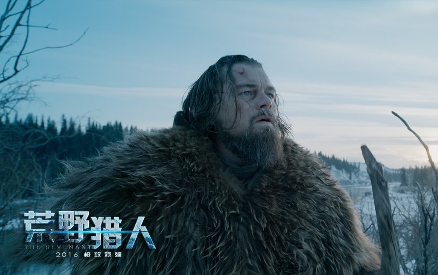 十部高分的探险类电影