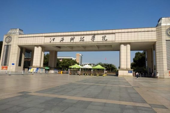江西省200分左右的公办专科大学
