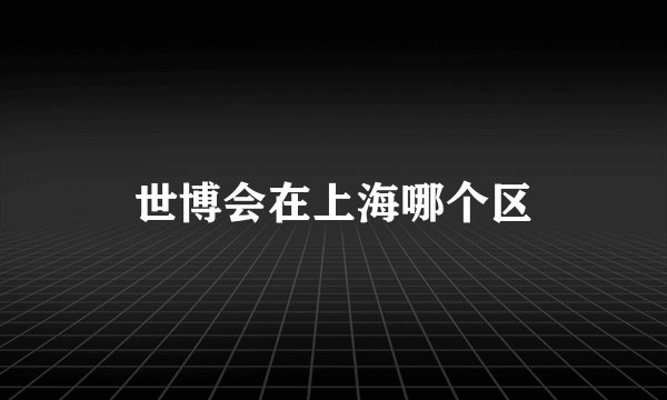 世博会在上海哪个区