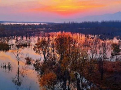 你最喜欢的一首歌是什么呢？