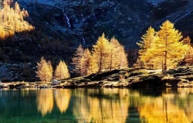 奇丽拼音怎么读