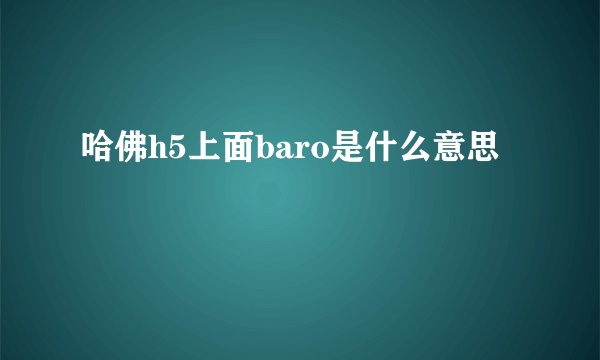 哈佛h5上面baro是什么意思