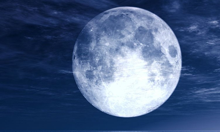如何仿写走月亮
