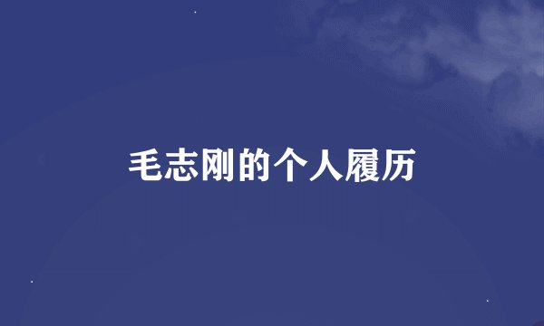 毛志刚的个人履历