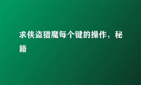 求侠盗猎魔每个键的操作，秘籍