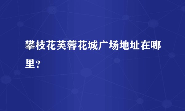 攀枝花芙蓉花城广场地址在哪里？
