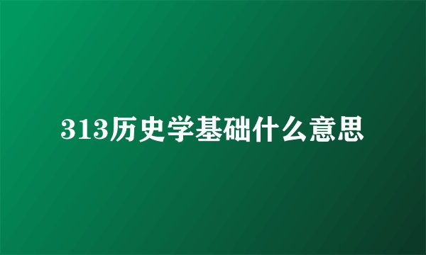 313历史学基础什么意思