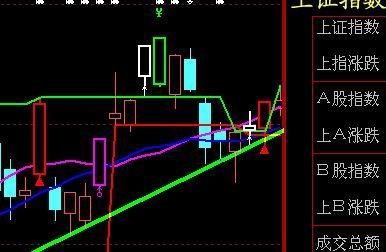 短线是金的内容提要