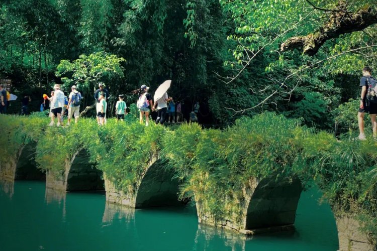 2023年贵州高考一本线是多少