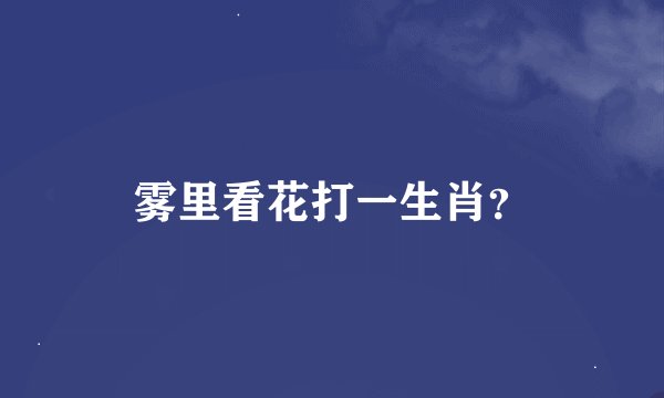 雾里看花打一生肖？