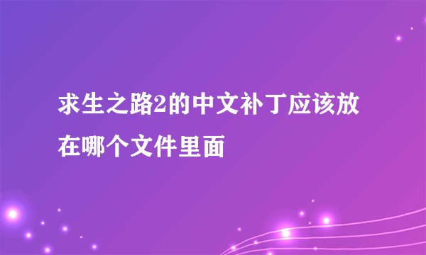 求生之路2的中文补丁应该放在哪个文件里面