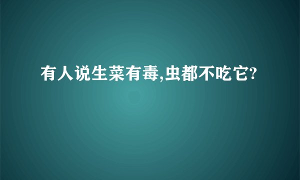 有人说生菜有毒,虫都不吃它?