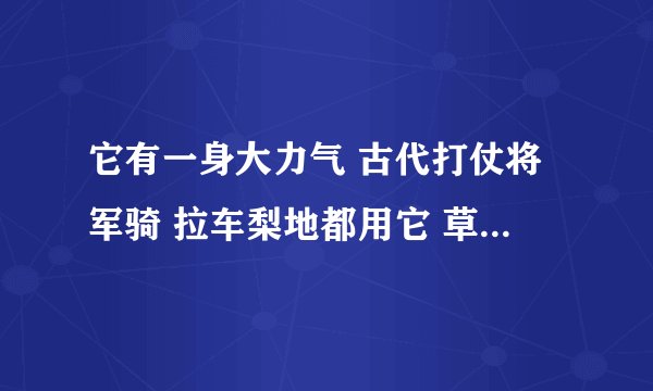 它有一身大力气 古代打仗将军骑 拉车梨地都用它 草原驰聘千万里 请问12生肖里属于那一种动物