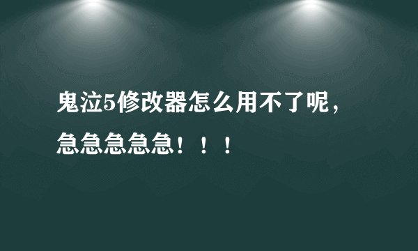 鬼泣5修改器怎么用不了呢，急急急急急！！！