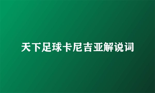天下足球卡尼吉亚解说词