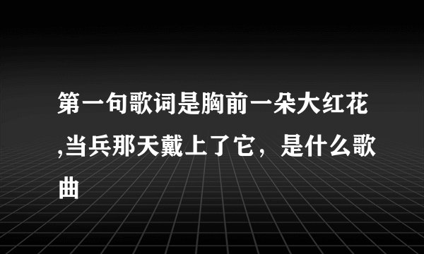 第一句歌词是胸前一朵大红花,当兵那天戴上了它，是什么歌曲