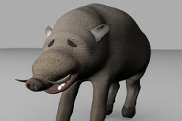 什么是“灵犀”?灵犀是什么意思?