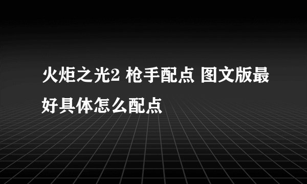 火炬之光2 枪手配点 图文版最好具体怎么配点