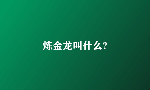 炼金龙叫什么?