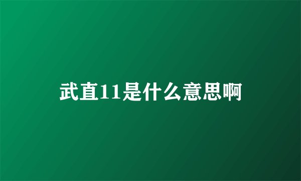 武直11是什么意思啊