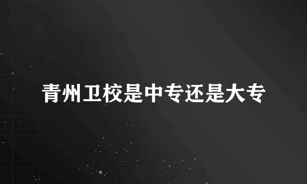 青州卫校是中专还是大专
