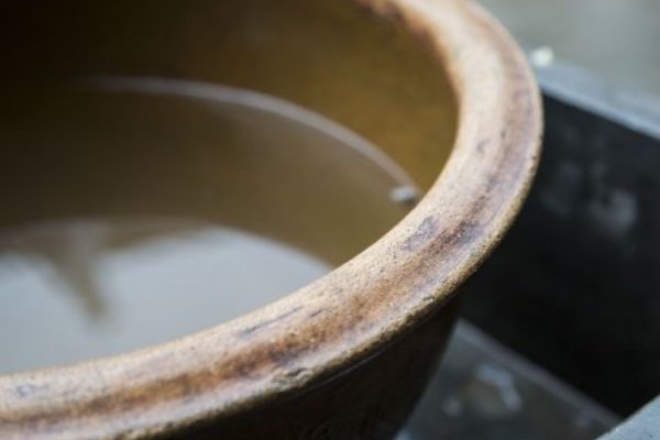 “月满则缺，水满则溢”的意思是什么？