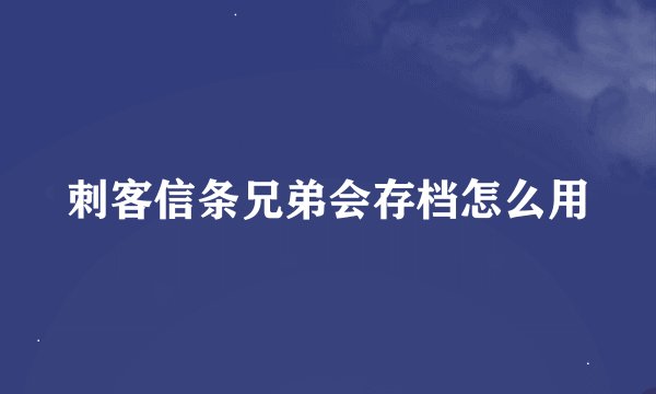 刺客信条兄弟会存档怎么用