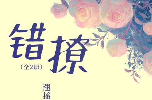 以爱为营原著小说叫什么